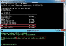 Windows Server上網(wǎng)慢問(wèn)題解決方案